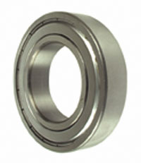 3009384X1 Bearing